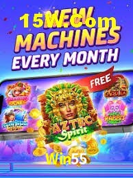 Experiência VIP Win55